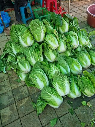 남종희님의 자유주제 · 자유게시판 작성글 사진