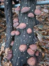 팜모닝 연말인사 함께 나눠요·참여글 게시글 이미지