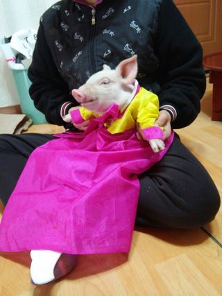 보람이님의 연말인사 함께 나눠요 · 참여글 작성글 사진