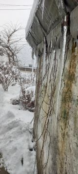 팜모닝 우리동네·동네정보 게시글 이미지