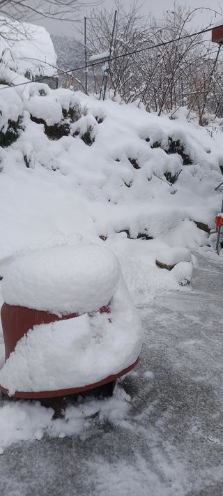 이용호님의 우리동네 · 동네정보 작성글 사진