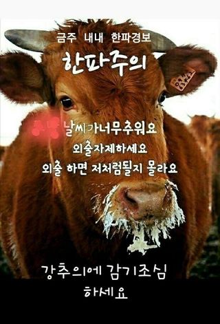 최남옥님의 농사, 무엇이든 물어보세요! · 참여글 작성글 사진