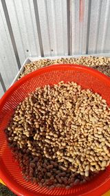 팜모닝 자유주제·자유게시판 게시글 이미지