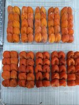 팜모닝 감·자유게시판 게시글 이미지