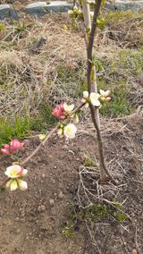 팜모닝 연말인사 함께 나눠요·참여글 게시글 이미지