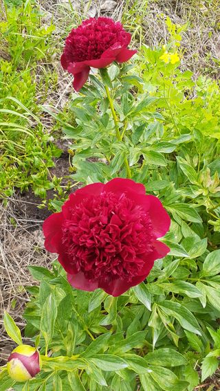 알 수 없음님의 연말인사 함께 나눠요 · 참여글 작성글 사진