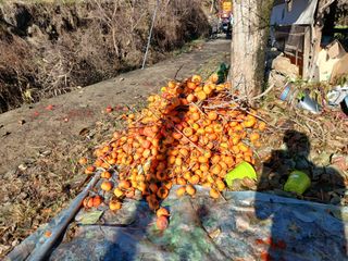 알 수 없음님의 연말인사 함께 나눠요 · 참여글 작성글 사진