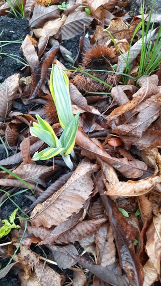 알 수 없음님의 연말인사 함께 나눠요 · 참여글 작성글 사진