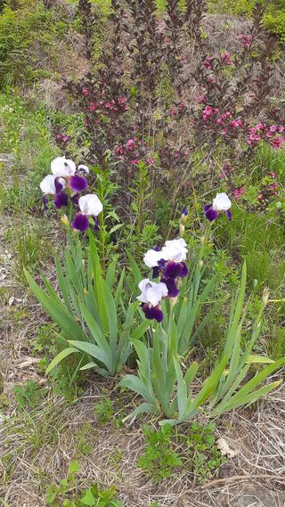 알 수 없음님의 연말인사 함께 나눠요 · 참여글 작성글 사진