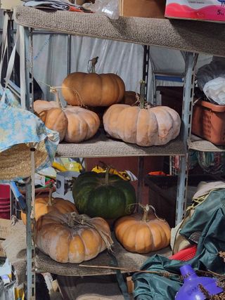 스마일00님의 연말인사 함께 나눠요 · 참여글 작성글 사진