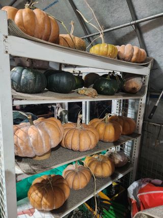 스마일00님의 연말인사 함께 나눠요 · 참여글 작성글 사진