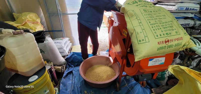 전용철님의 장터 판매 상품 [대원콩 포대당/40.3kg ] 첨부 사진