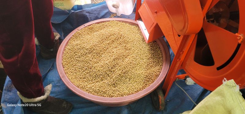 전용철님의 장터 판매 상품 [대원콩 포대당/40.3kg ] 첨부 사진