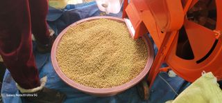 전용철님의 작성글 사진