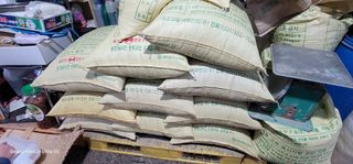 전용철님의 작성글 사진