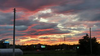 윤병진(艾香農園)님의 연말인사 함께 나눠요 · 참여글 작성글 사진