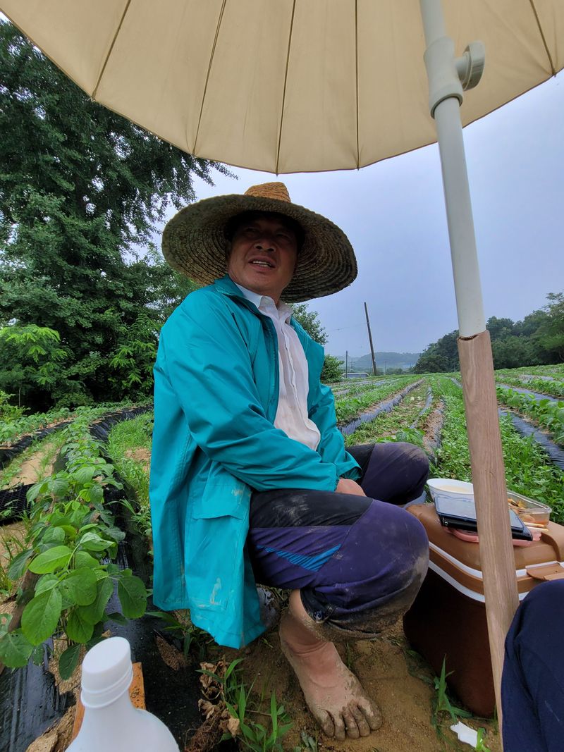 장터 상품 [속청 토종 서리태콩  판매합니다~] 썸네일