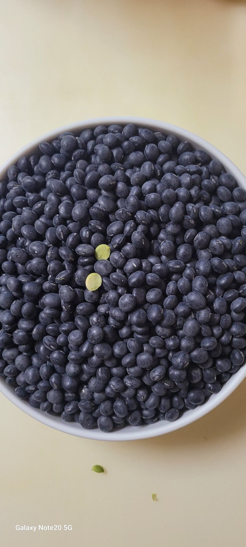 오늘이 가장 젊은날님의 장터 판매 상품 [속청 토종 서리태콩  판매합니다~] 첨부 사진