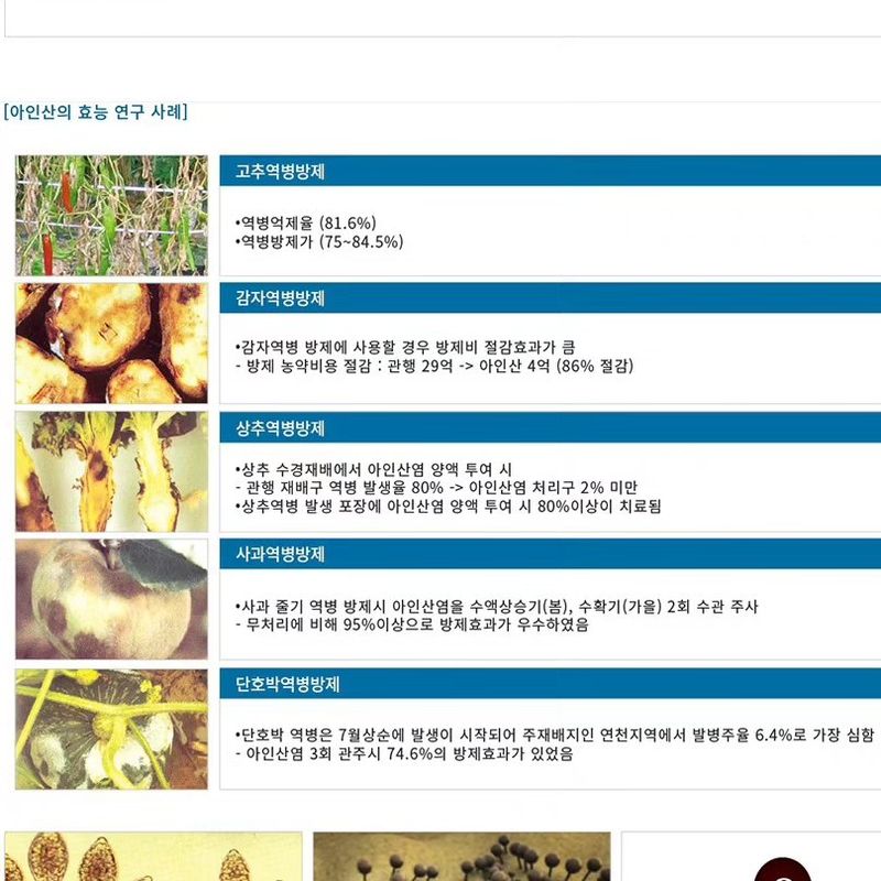 식물보호닷컴님의 장터 판매 상품 [대유 아인산 3kg] 첨부 사진