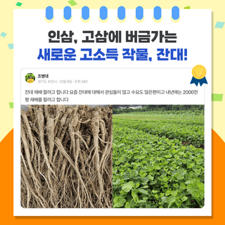 팜모닝 베스트님의 팜모닝공식 · 팜모닝 베스트 작성글 사진