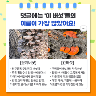 팜모닝 베스트님의 팜모닝공식 · 팜모닝 베스트 작성글 사진