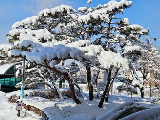 김기만님의 연말인사 함께 나눠요 · 참여글 작성글 사진