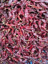 팜모닝 고추·일상 게시글 이미지