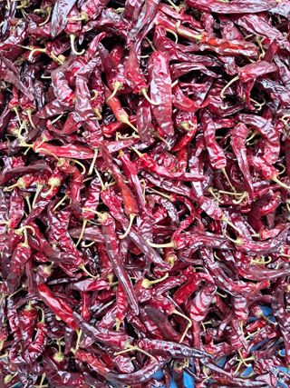 마정숙님의 고추 · 일상 작성글 사진