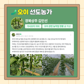 팜모닝님의 자유주제 · 공지 작성글 사진