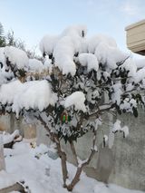 팜모닝 연말인사 함께 나눠요·참여글 게시글 이미지