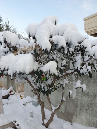 jsk님의 연말인사 함께 나눠요 · 참여글 작성글 사진