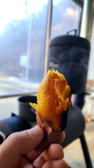 진철님의 연말인사 함께 나눠요 · 참여글 작성글 사진