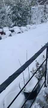 팜모닝 연말인사 함께 나눠요·참여글 게시글 이미지