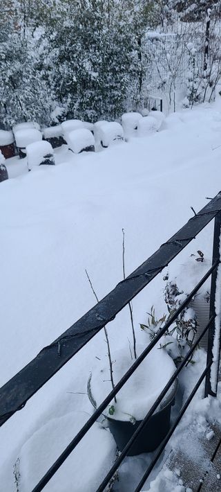 윤양현님의 연말인사 함께 나눠요 · 참여글 작성글 사진