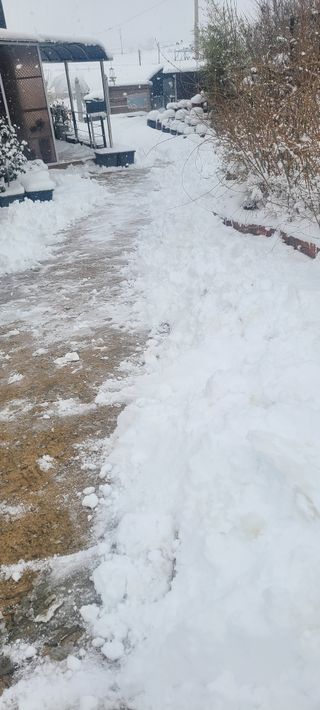 윤양현님의 연말인사 함께 나눠요 · 참여글 작성글 사진