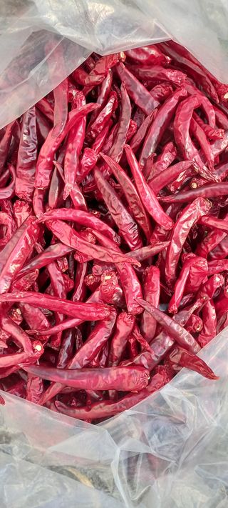 둥이 맘님의 작성글 사진