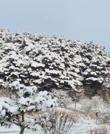 팜모닝 연말인사 함께 나눠요·참여글 게시글 이미지