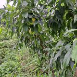 팜모닝 연말인사 함께 나눠요·참여글 게시글 이미지