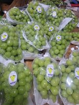 팜모닝 연말인사 함께 나눠요·참여글 게시글 이미지