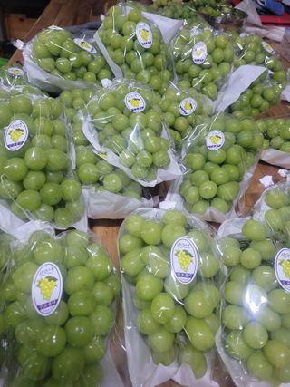 이원규님의 연말인사 함께 나눠요 · 참여글 작성글 사진