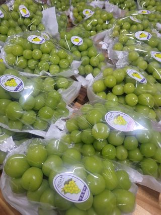 이원규님의 연말인사 함께 나눠요 · 참여글 작성글 사진