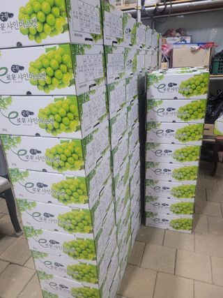 이원규님의 연말인사 함께 나눠요 · 참여글 작성글 사진