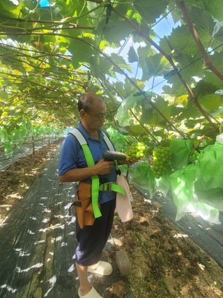 이원규님의 연말인사 함께 나눠요 · 참여글 작성글 사진