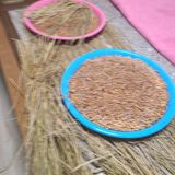 팜모닝 콩·자유게시판 게시글 이미지