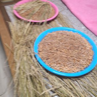 자생님의 콩 · 자유게시판 작성글 사진