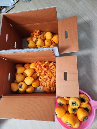 고영희님의 연말인사 함께 나눠요 · 참여글 작성글 사진