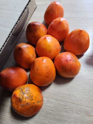 고영희님의 연말인사 함께 나눠요 · 참여글 작성글 사진