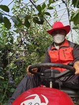 팜모닝 연말인사 함께 나눠요·참여글 게시글 이미지