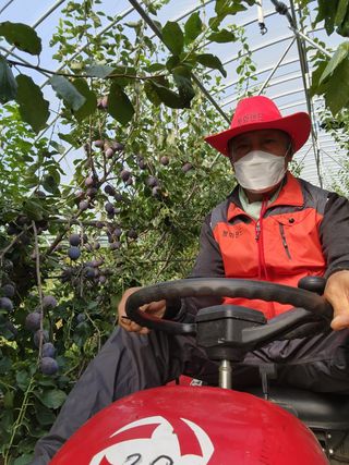 봉화랜드님의 연말인사 함께 나눠요 · 참여글 작성글 사진