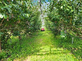 봉화랜드님의 연말인사 함께 나눠요 · 참여글 작성글 사진